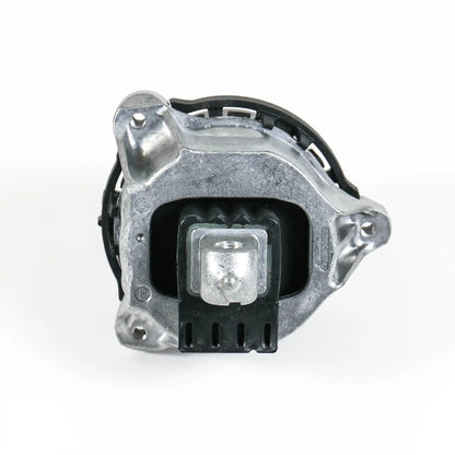 High Density Rubber Engine Mount, 2019+ BMW G05 X5 40i
